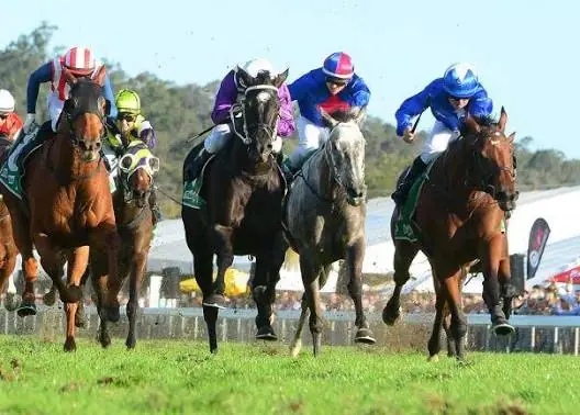 RACING TIPS: Ipswich – Wednesday 8/7 Image