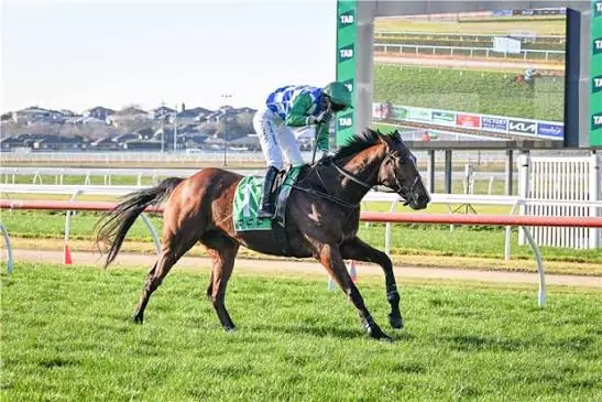RACING: STERN IDOL SAYS HELLO TO FLEMINGTON ON FAREWELL TOUR Image