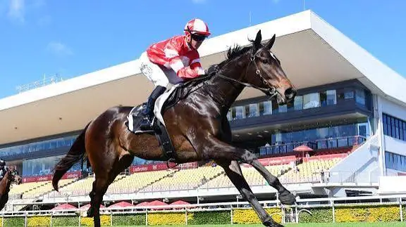 RACING: Could Tengun Tommy Be Tony Gollan’s Next Magic Millions Star? Image