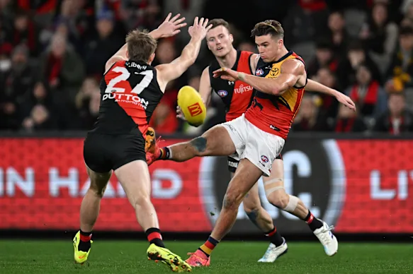 AFL: Essendon vs Adelaide – Match Insights & Our Tips Image