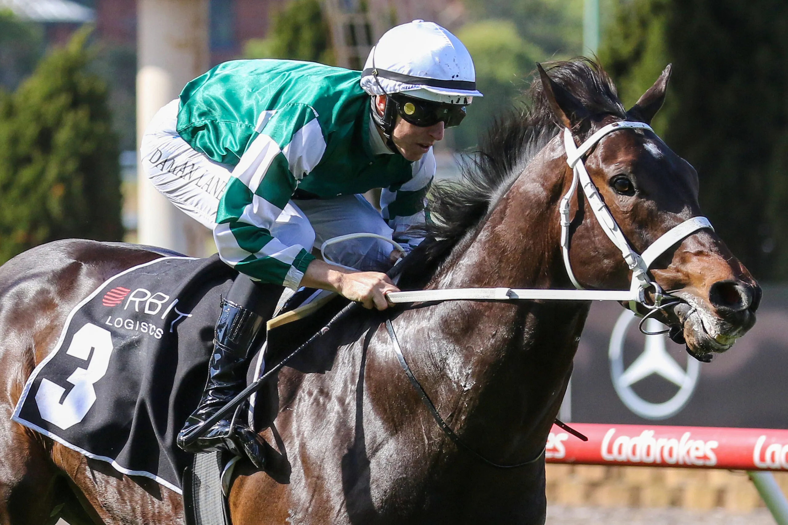 Racing: ‘He Could Win A Group One’: Chris Waller Backs Angel Capital To Secure Stud Future Image