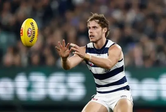AFL: Independent Lawyer Called In as Geelong Concussion Saga Escalates Image