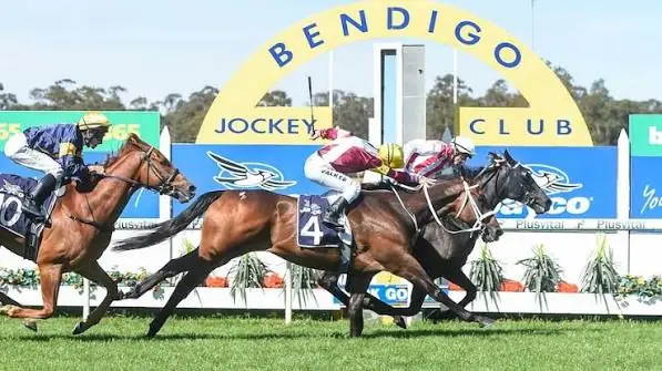 RACING: Bendigo Best Bets – Saturday 8/8 Image