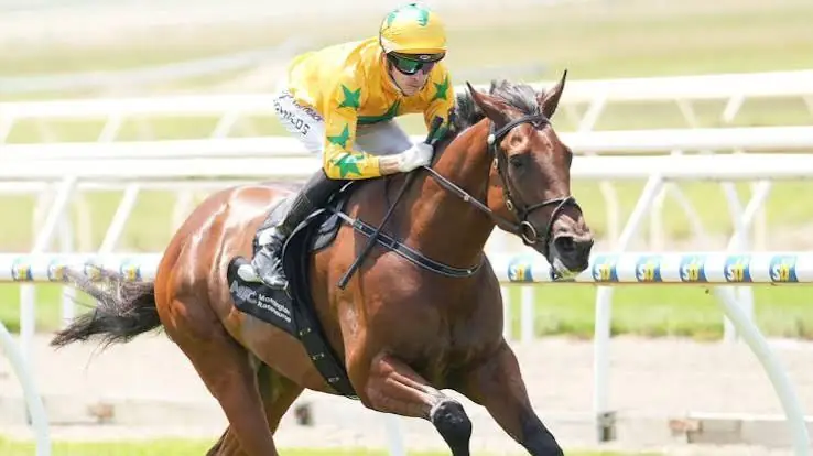 RACING: Cranbourne Tips – Wednesday 5/8 Image