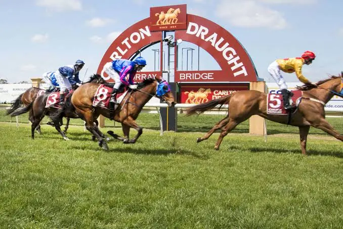 RACING: Murray Bridge Tips – Wednesday 5/8 Image