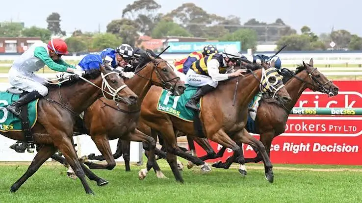 RACING: Geelong Best Bets – Saturday 14/8 Image