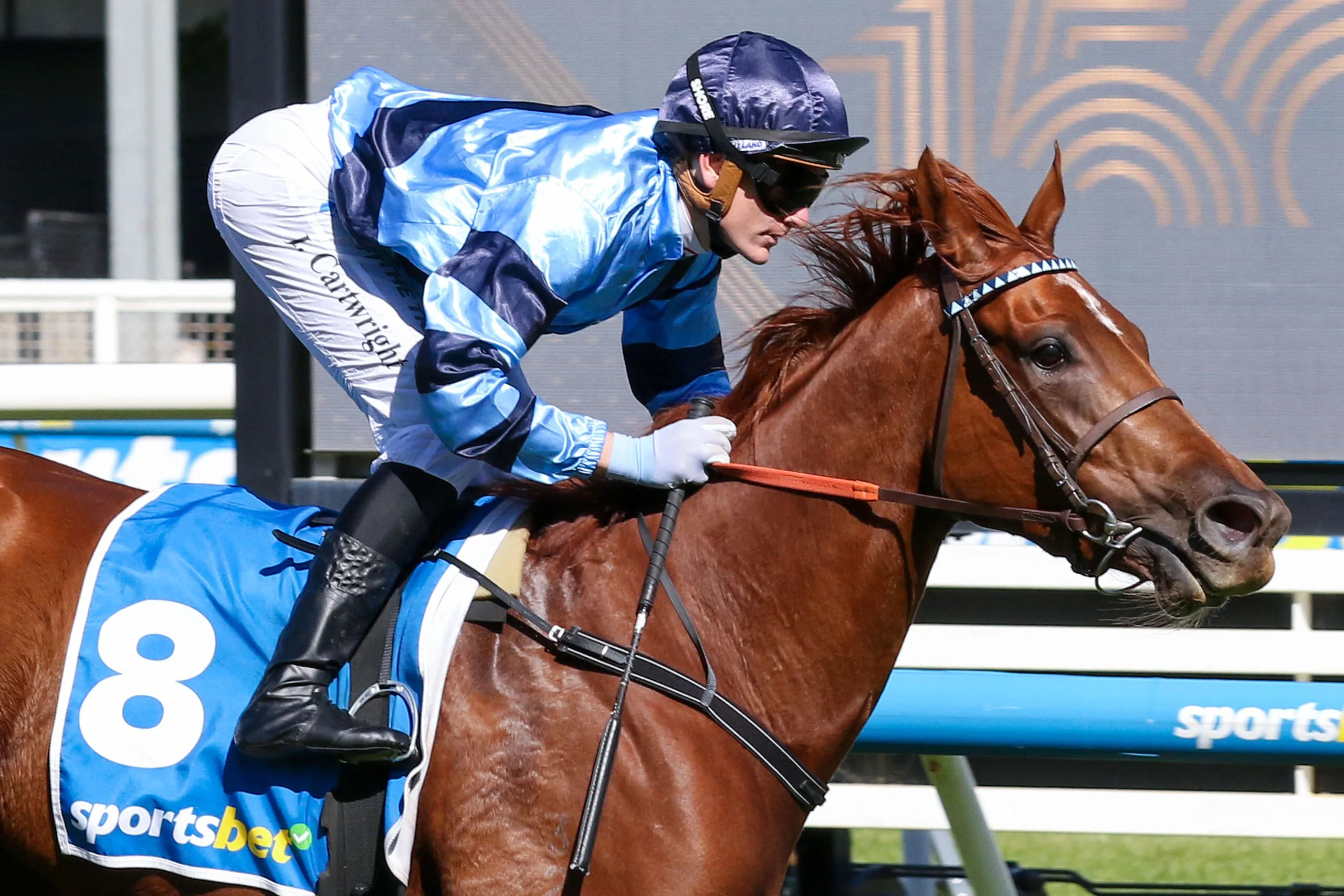 Racing: “She’s Going Better” Extragalactic Earns J-Mac Backing for Manikato Stakes Image
