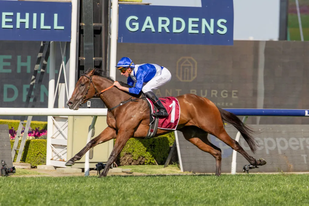 Racing: “Singo, Are You There?”: Blue Door Pitches for an Everest Slot as Field Takes Shape Image