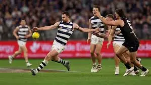 AFL: Fremantle vs Geelong – Match Insights & Our Tips Image