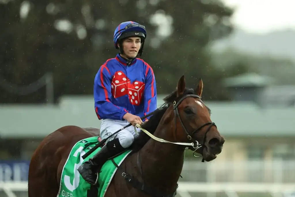 Racing: “I Knew I Had a Very Good Horse”: Zac Lloyd Backs Guest House to Make History Image