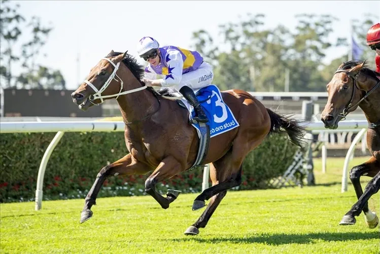 Racing: “I Wouldn’t Swap the Ride on St Gotthard for Anything” J-Mac Makes Huge Golden Rose Call Image