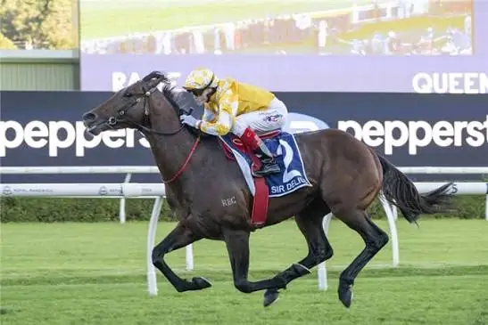 Racing: “Unfinished Business” Sir Delius Returns to Flemington for Cox Plate Redemption Image