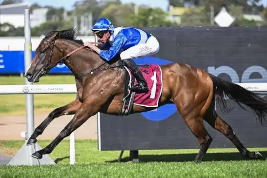 Racing: Blue Door Confirmed for Newgate Everest Slot After Heritage Win Image