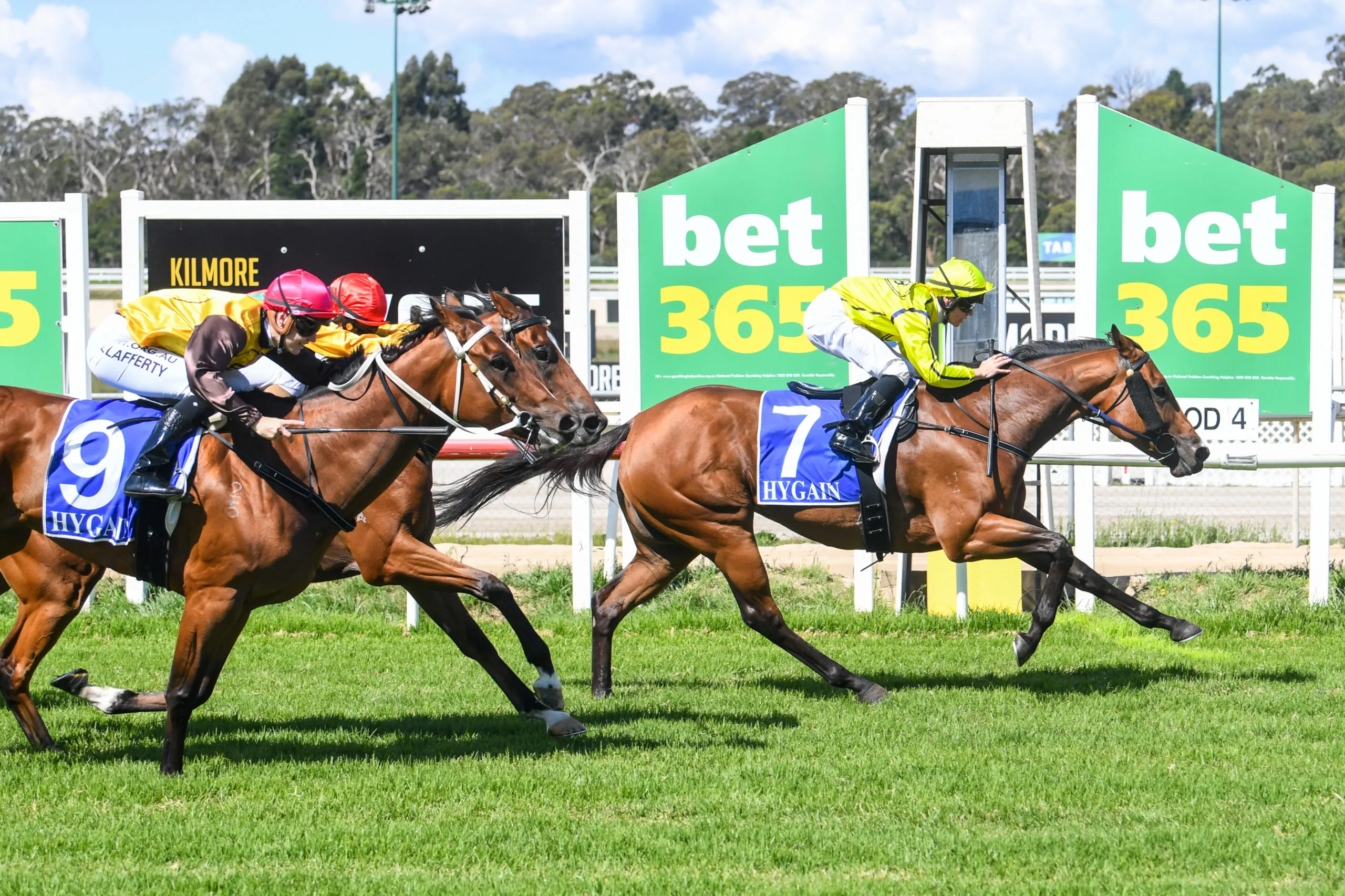 Kilmore Tips – Tuesday 13/10 Image