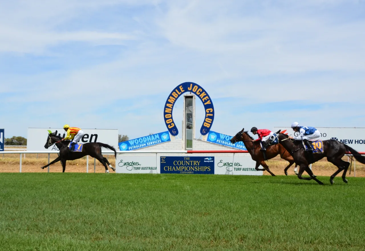 Coonamble Tips – Sunday 11/10 Image