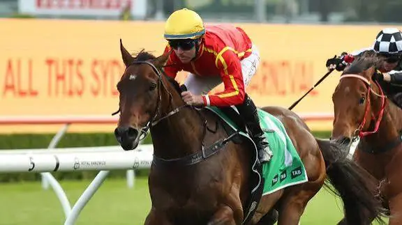 Transatlantic Out for a Year After Freak Trackwork Mishap Image