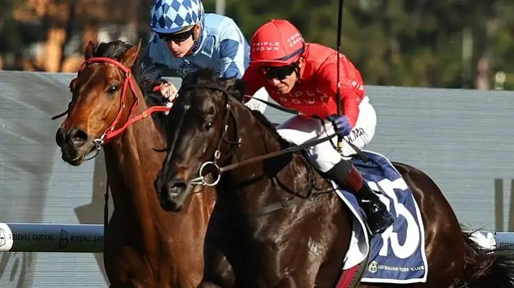 2026 Alan Brown Stakes Review: What The Jockeys Said Image