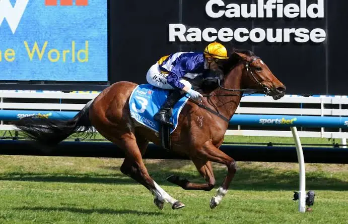 2026 Thousand Guineas Review: What The Jockeys Said Image