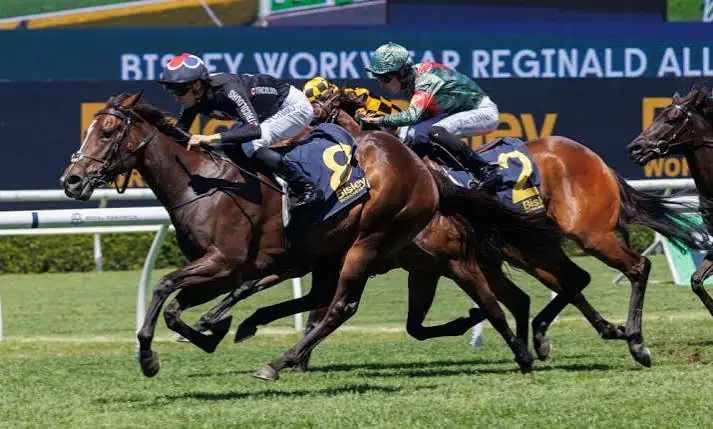 2026 Reginald Allen Quality Review: What The Jockeys Said Image