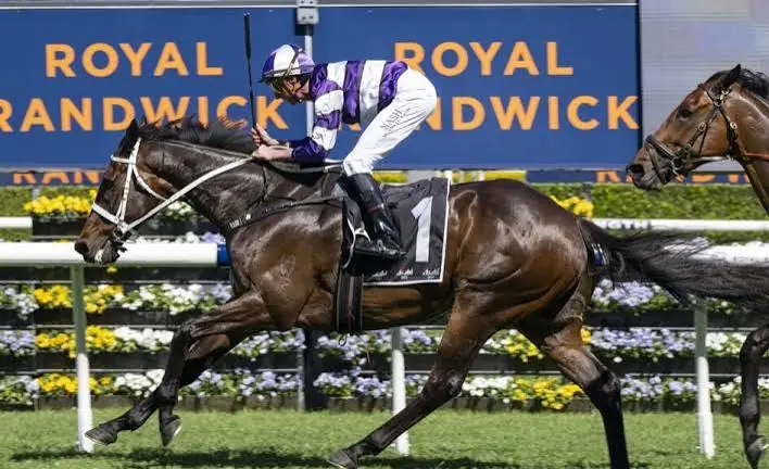 2026 Craven Plate Review: What The Jockeys Said Image