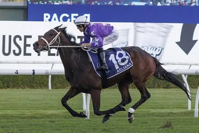 Aeliana Very Unlikely for Melbourne Cup, Says Chris Waller Image
