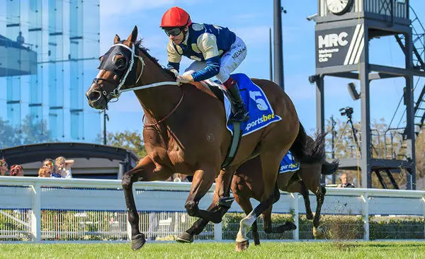Chris Judd Chases Melbourne Cup After Birdman’s Cox Plate Near Miss Image