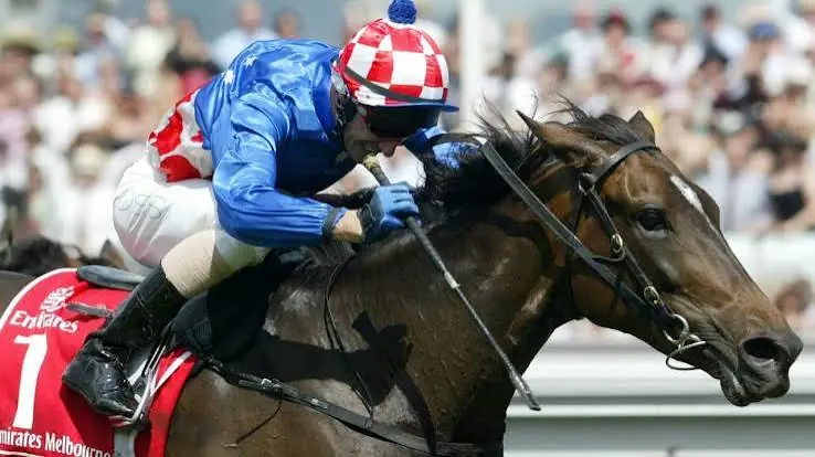 The 10 Greatest Melbourne Cup Winners of All Time Image