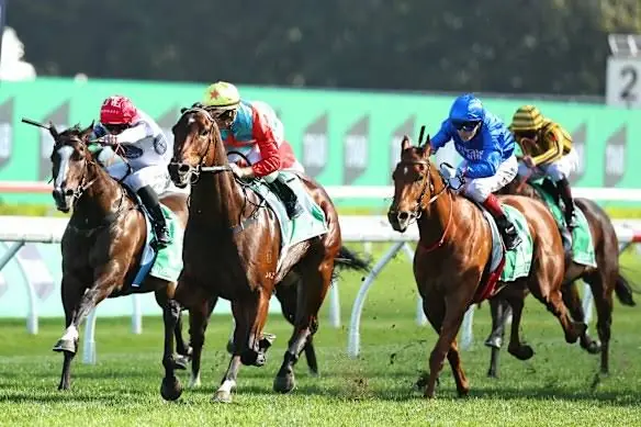 $1,000 To Be Won: Free Everest & Caulfield Cup Day Tipping Competitions – Sat 17th October Image