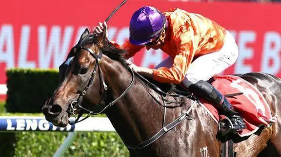 2026 Sydney Stakes Review: What The Jockeys Said Image