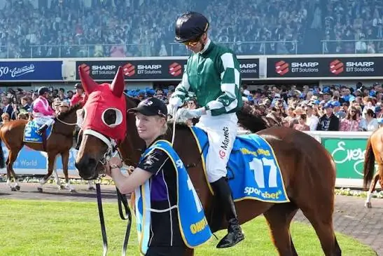 Caulfield Cup Fall: Stewards Clear All Jockeys Over Ohope Wins Death Image