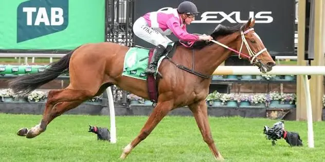 Cosmic Crusader Wins Cox Plate for Andrea Leek and William Pike Image
