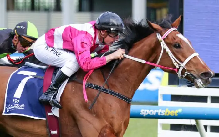 Racing: Cosmic Crusader Wins Turnbull Stakes for Leek and Pike Image