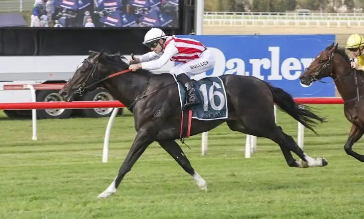 Victoria Derby 2026 Field: Cormier Draws Barrier Three Image