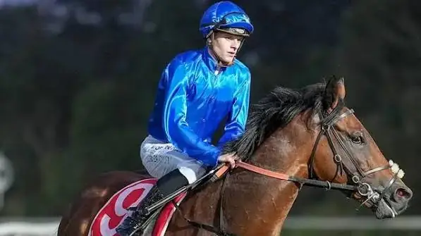 Hierarchy Scratched From Victoria Derby With Elevated Temperature Image