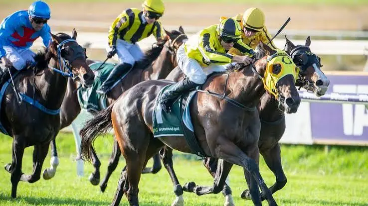 Ascot Tips – Saturday 31/10 Image