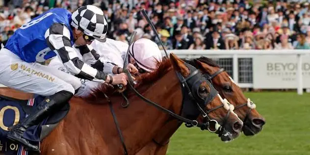 Defiantly Scratched From Melbourne Cup After Failing Vet Check Image