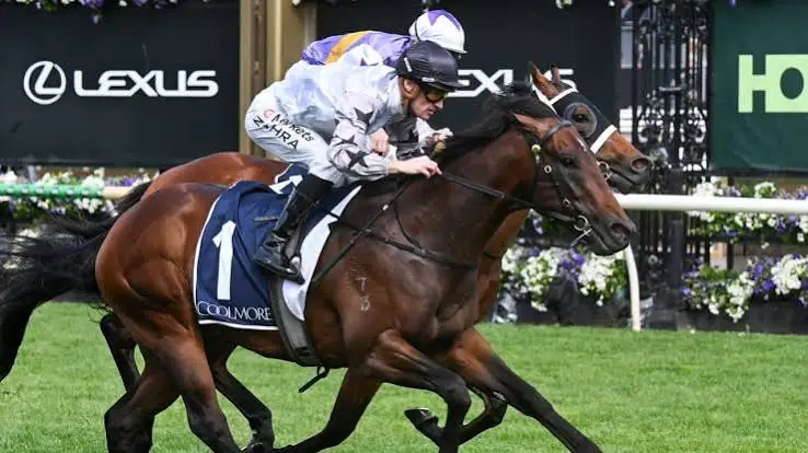 Coolmore Stud Stakes 2026: The Next Episode Wins for Maher Image