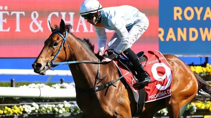 2026 Spring Champion Stakes Review: What The Jockeys Said Image