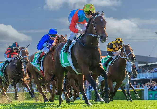 Racing: Ka Ying Rising Beaten a Long Head by Ninja in Everest Trial Image