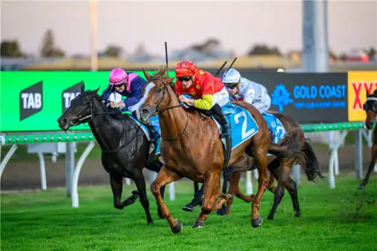 Gold Coast, Sunshine Coast to Host New Night Racing Series Image