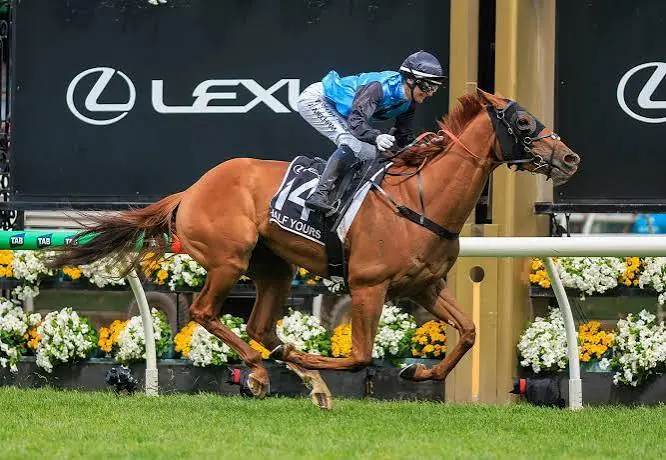 The 10 Greatest Caulfield Cup Winners of All Time Image