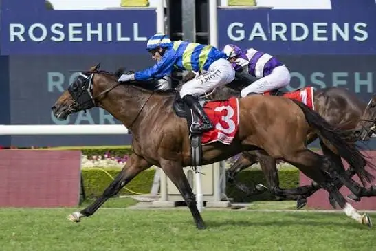 2026 Hill Stakes Review: What The Jockeys Said Image