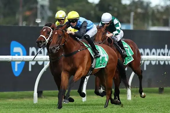 2026 Roman Consul Stakes Review: What The Jockeys Said Image