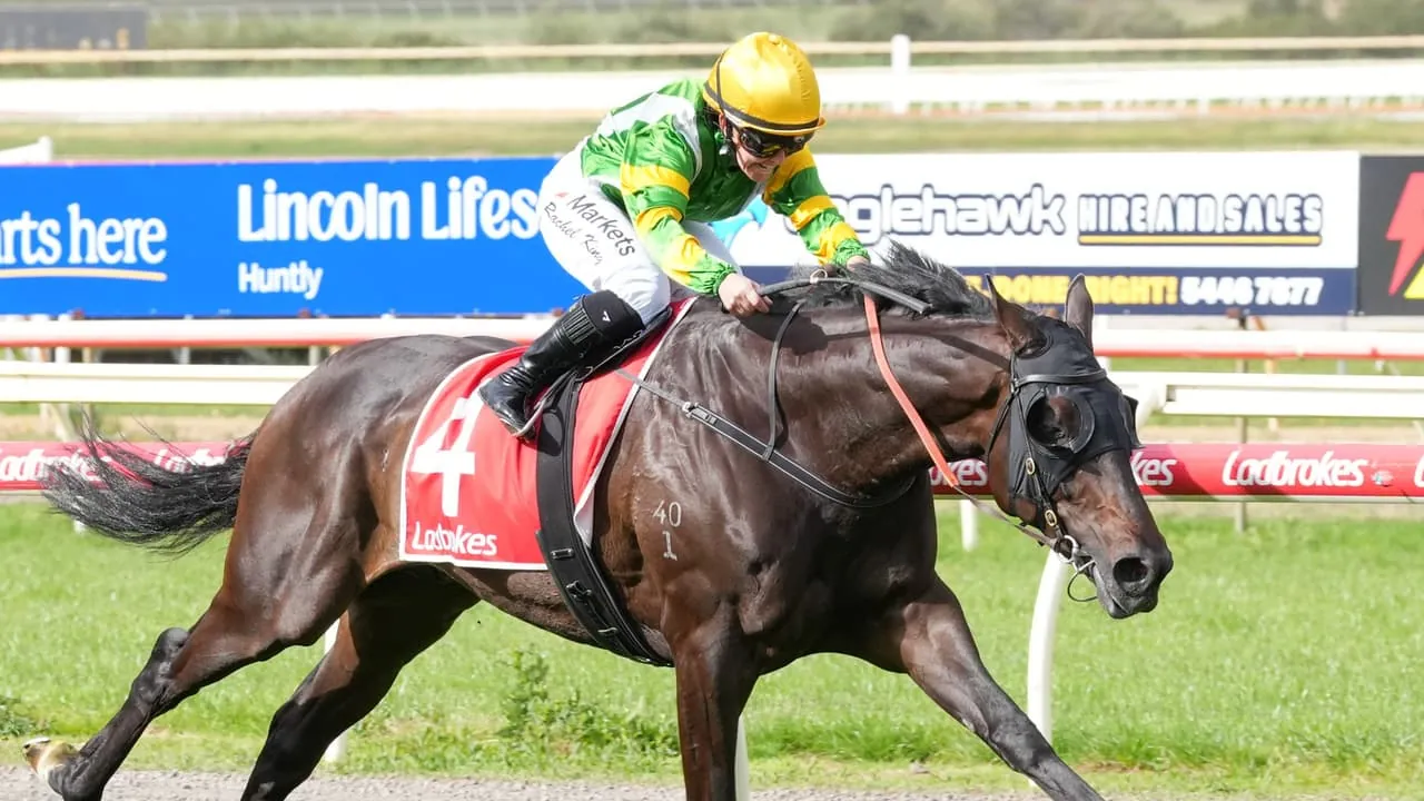 So You Are Wins Bendigo Cup to Boost Melbourne Cup Chances Image