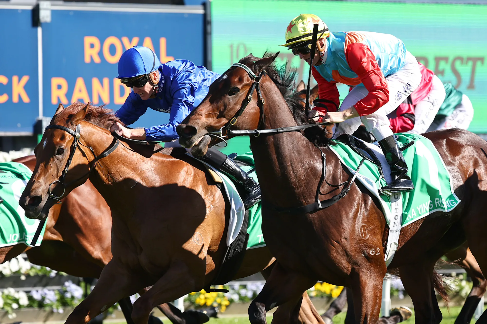 Tempted Wins The Everest 2026: Godolphin Mare Topples Ka Ying Rising at Randwick Image