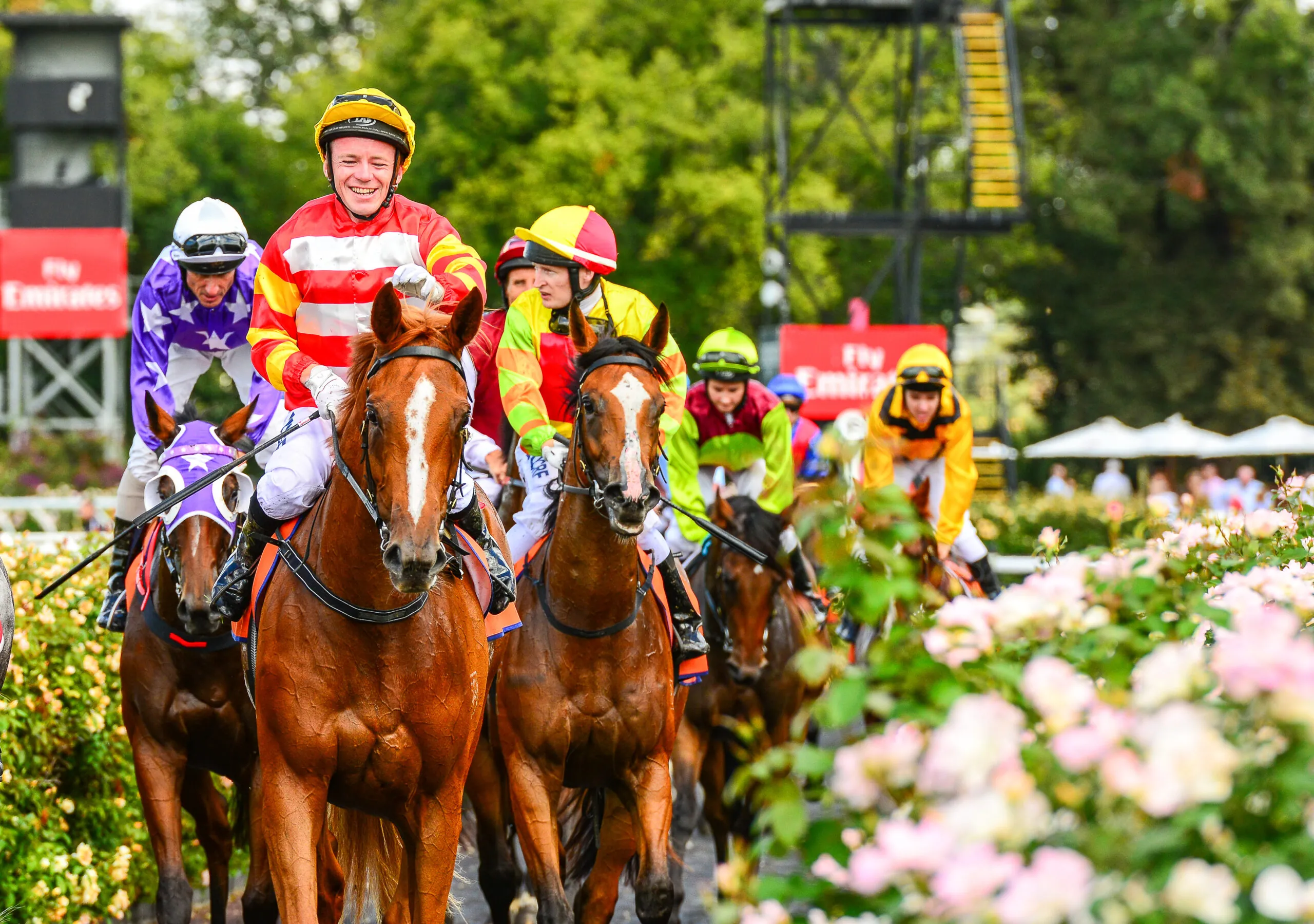 Victoria Derby 2026: Stormy Marco Wins for McDonald and Waller Image