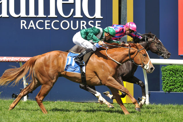 Listed Inglis Debutant Stakes Preview & Analysis
