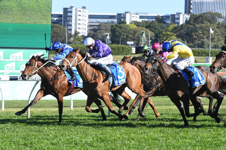 G1 Flight Stakes Preview & Analysis
