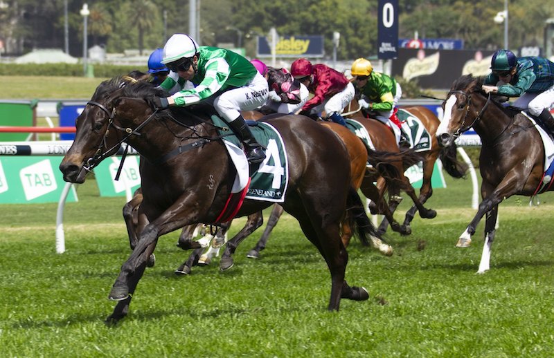 G3 Gimcrack Stakes Preview & Analysis
