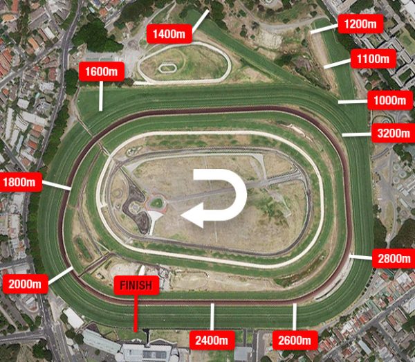 G1 Flight Stakes Preview & Analysis The Sporting Base